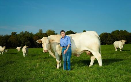 Ann Orr-Ewing with her beloved Charolais cows