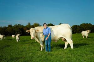 Ann Orr-Ewing with her beloved Charolais cows