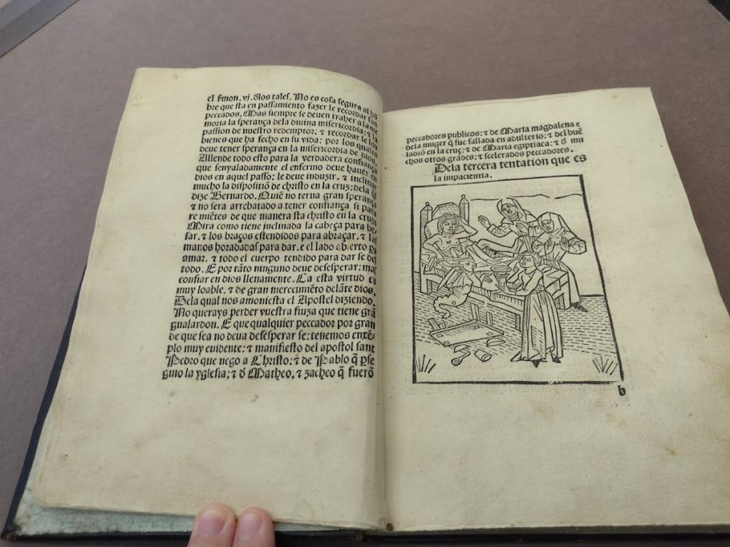 Image 2 Page
